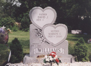Williams Companion Monument
